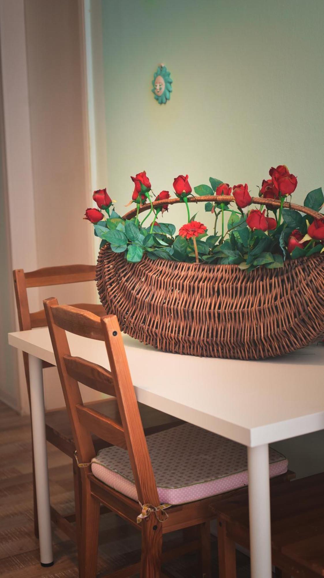 טריאסטה Barcolana Lodge - Hostel מראה חיצוני תמונה